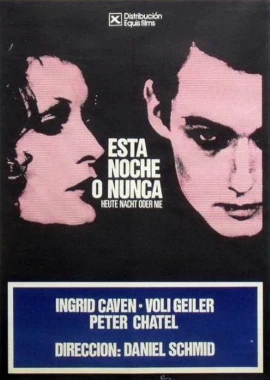 Heute Nacht oder Nie film poster image