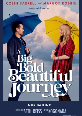 A Big Bold Beautiful Journey film poster image