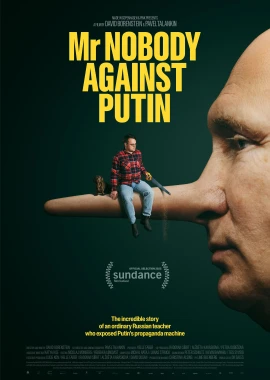 Mr. Nobody Against Putin film poster image