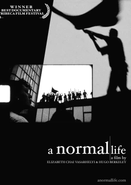 A Normal Life film poster image