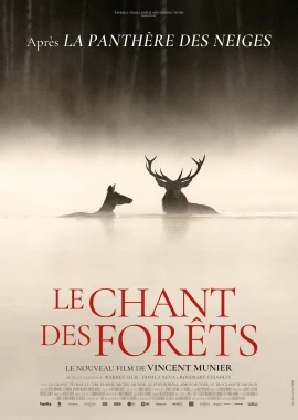 Le chant des forêts film poster image