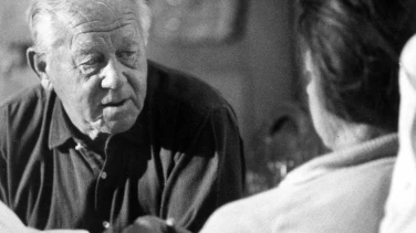 De Grotzepuur film trailer button