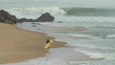 Surf Film Nacht: African Territory - Part 2 film trailer button