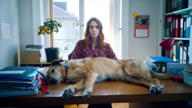 Le procès du chien film trailer button