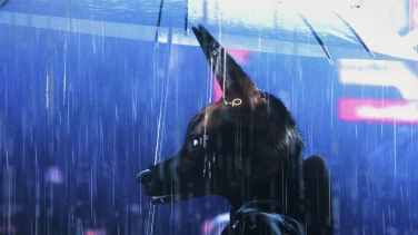 Bouchra film trailer button