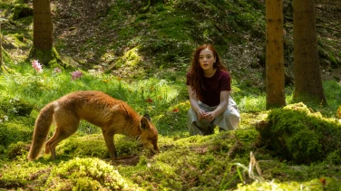 Ein Mädchen namens Willow film trailer button