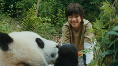 Moon, der Panda film trailer button