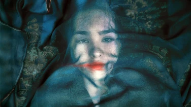 A Fox Under a Pink Moon film trailer button