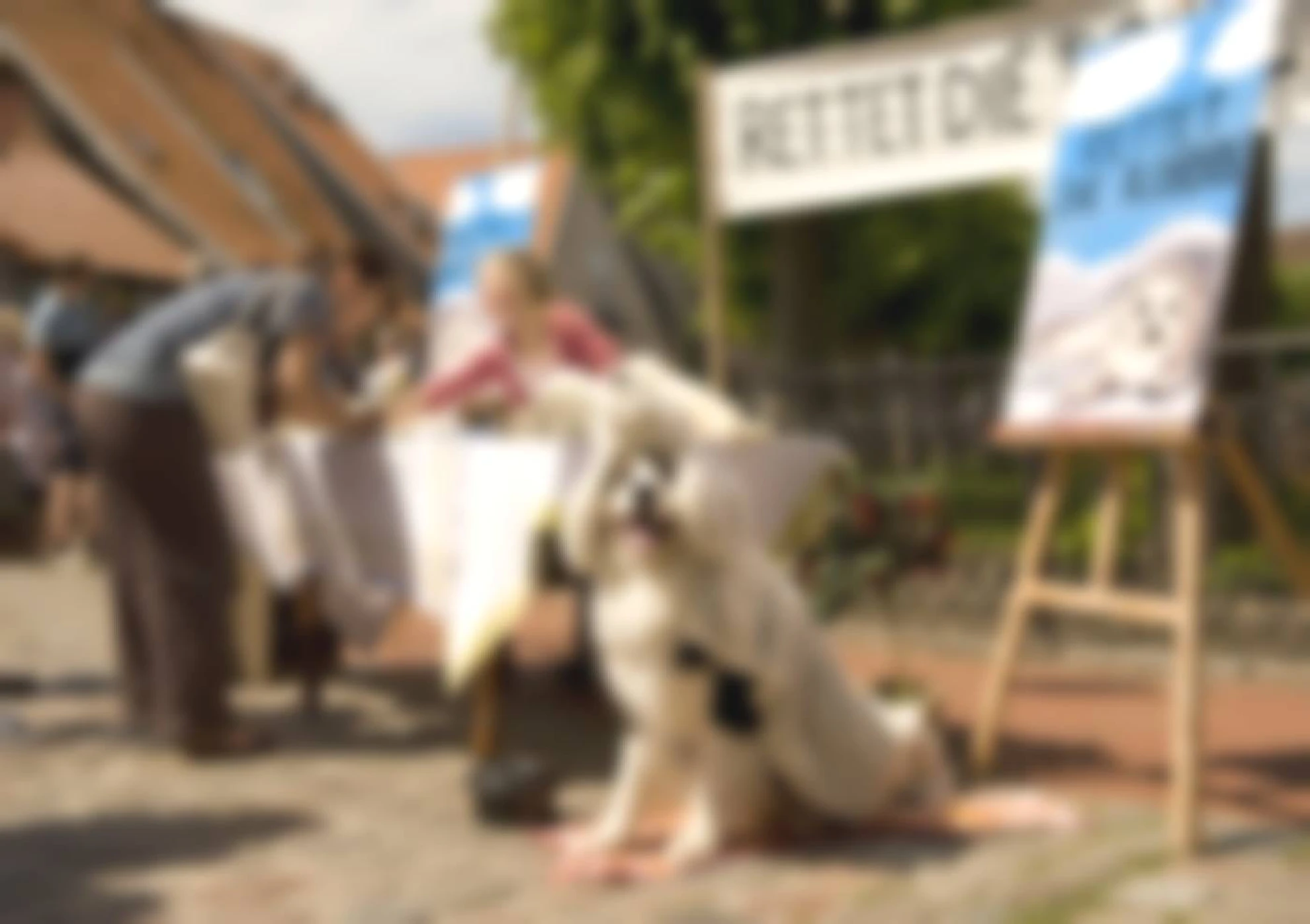 Fünf Freunde hero banner image placeholder