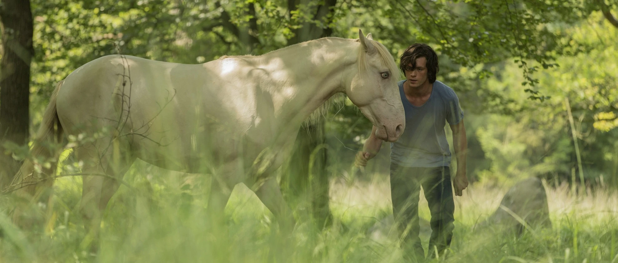 Ostwind 2 hero banner image placeholder