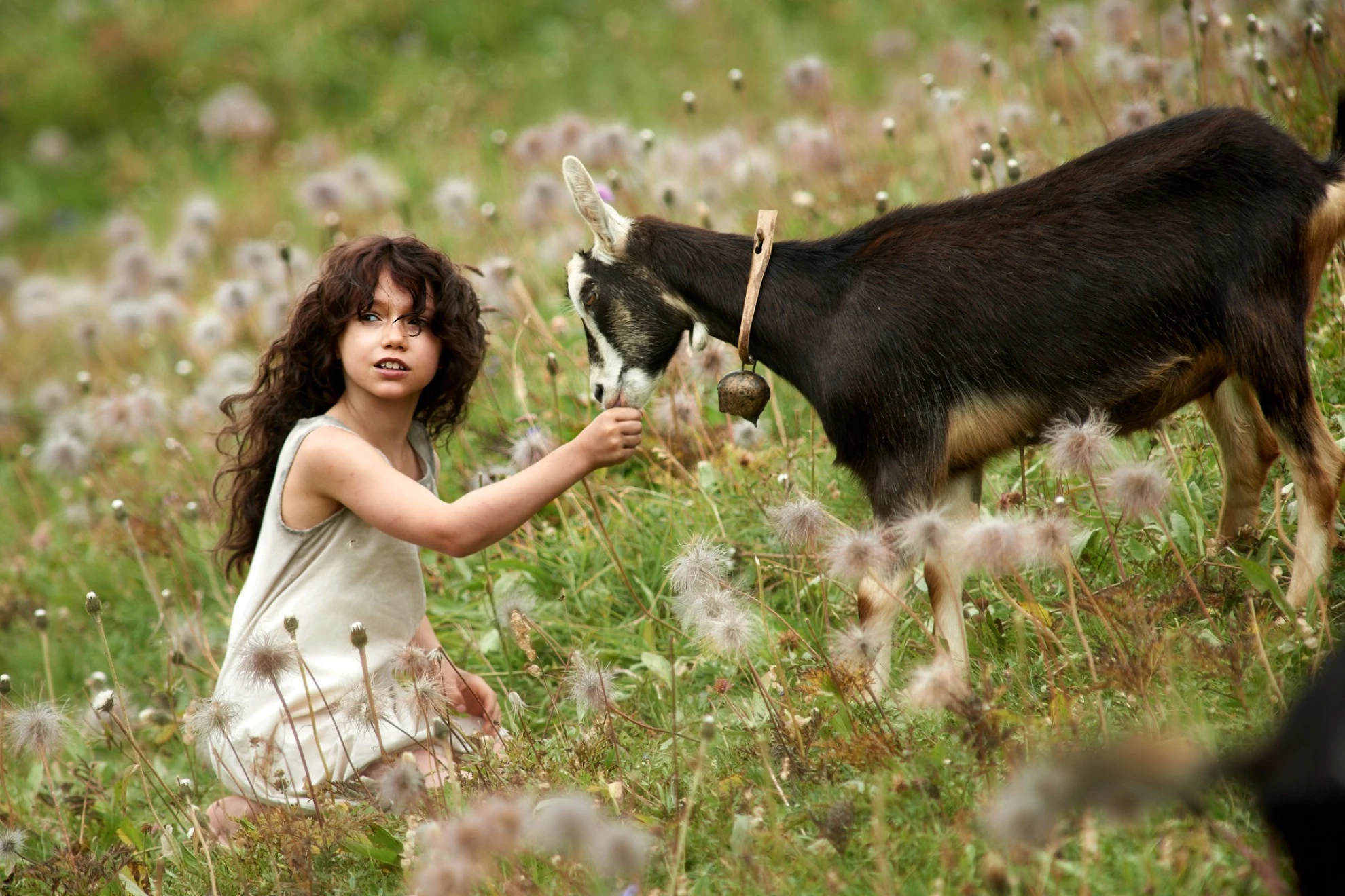 Heidi (2015) hero banner image