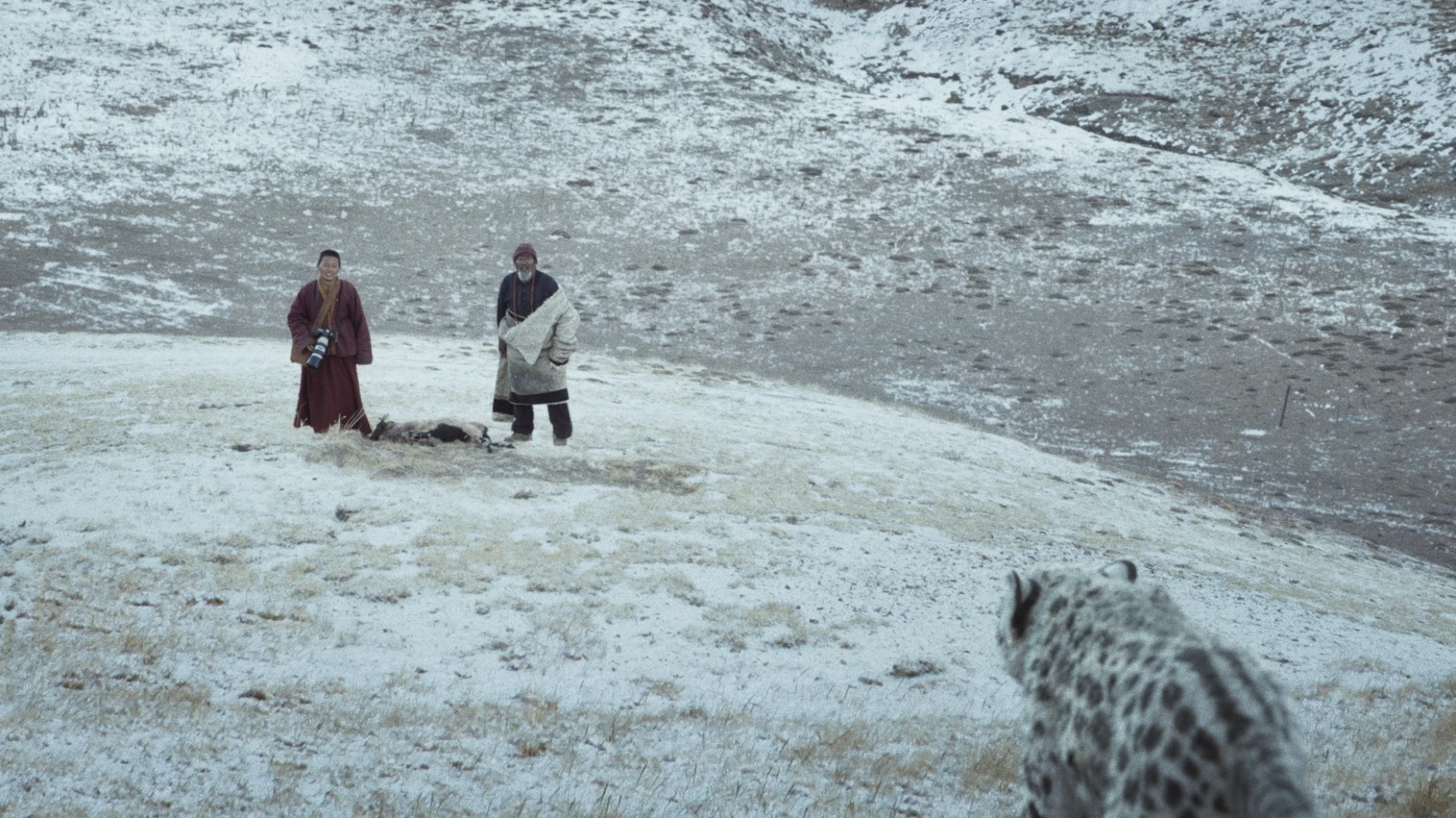 Xue Bao hero banner image