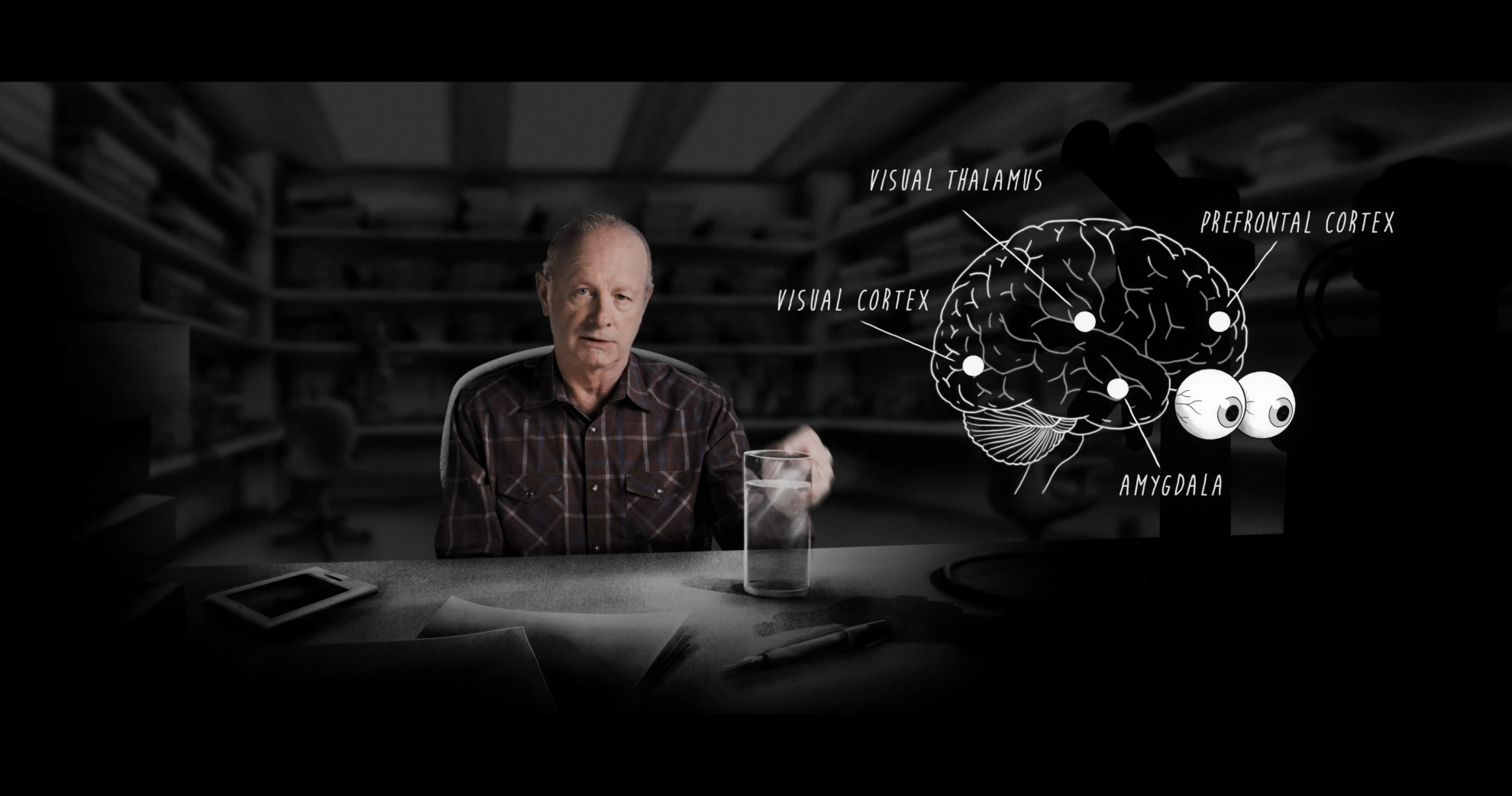 The Scent of Fear hero banner image placeholder