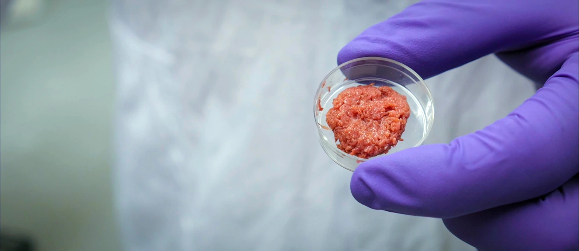 The End of Meat hero banner image placeholder