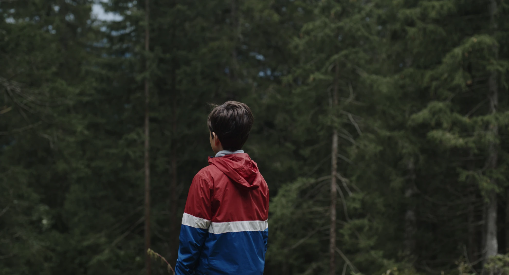 Réduit hero banner image placeholder