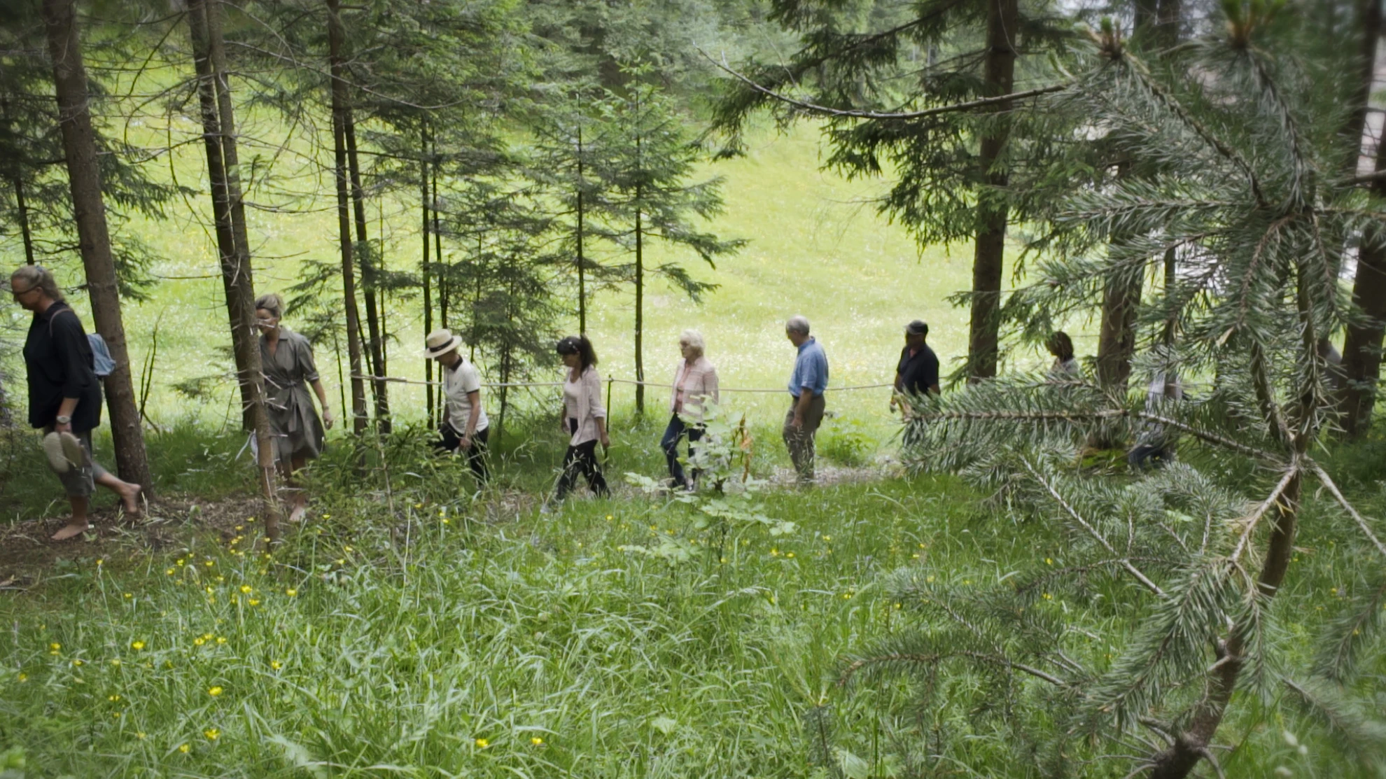 Sein - Gesund, Bewusst, Lebendig hero banner image placeholder