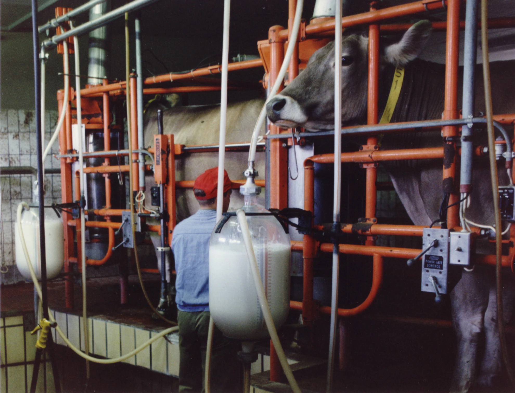 Bauernkrieg hero banner image placeholder