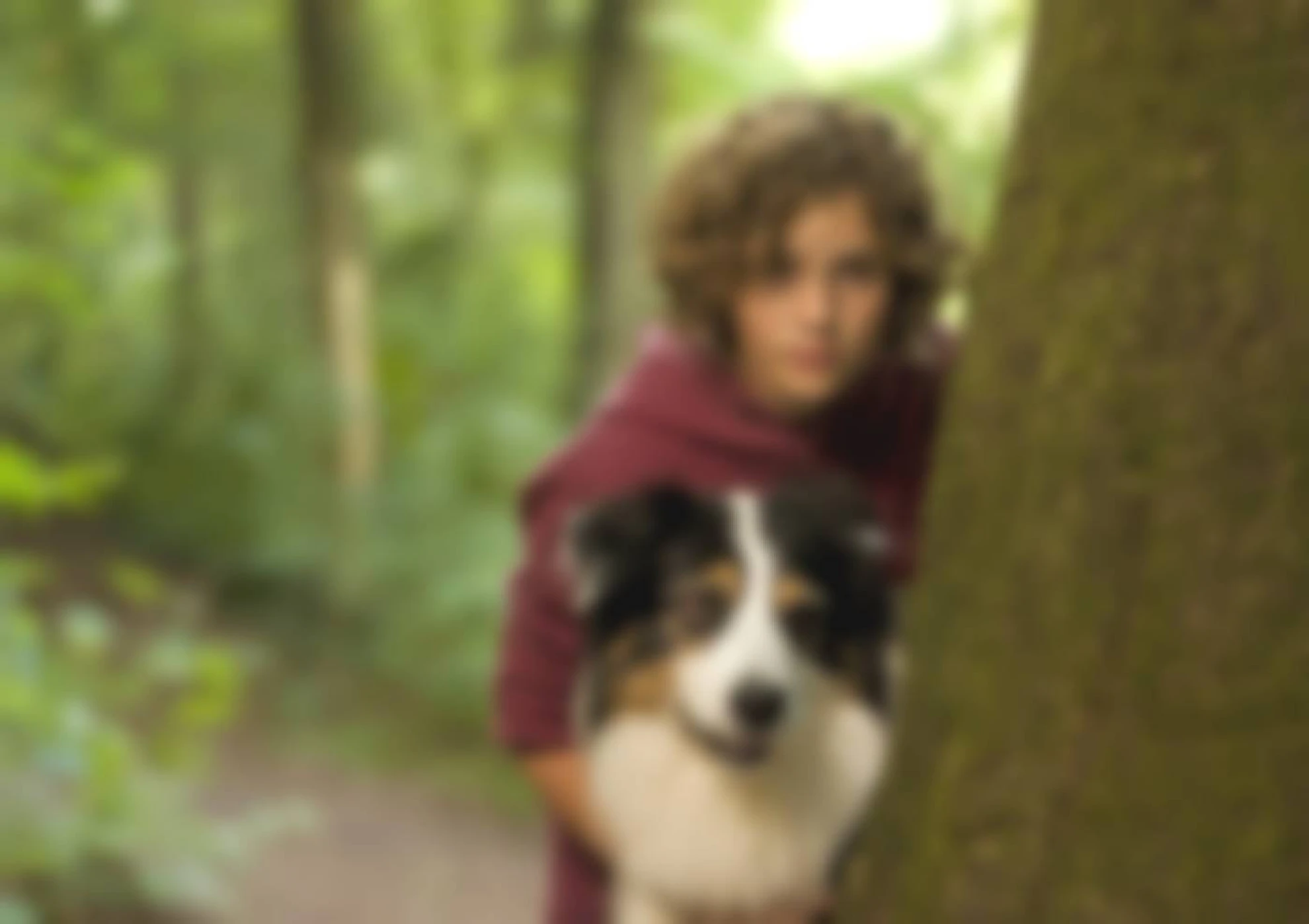 Fünf Freunde hero banner image placeholder