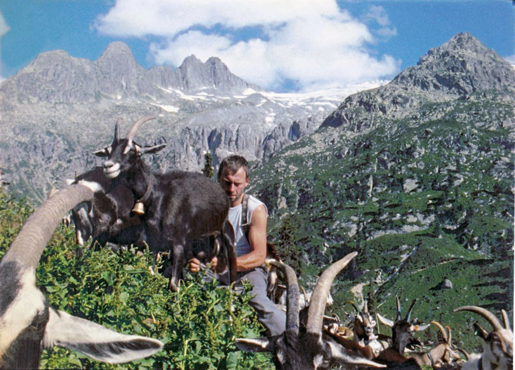 Hirtenreise ins dritte Jahrtausend hero banner image placeholder