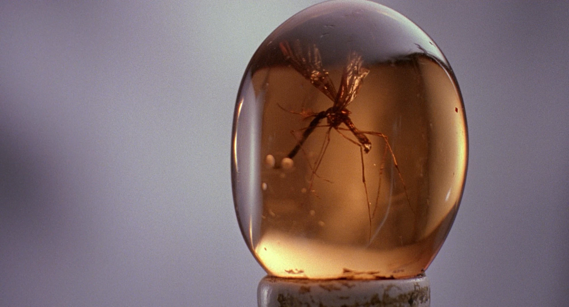 Jurassic Park hero banner image placeholder