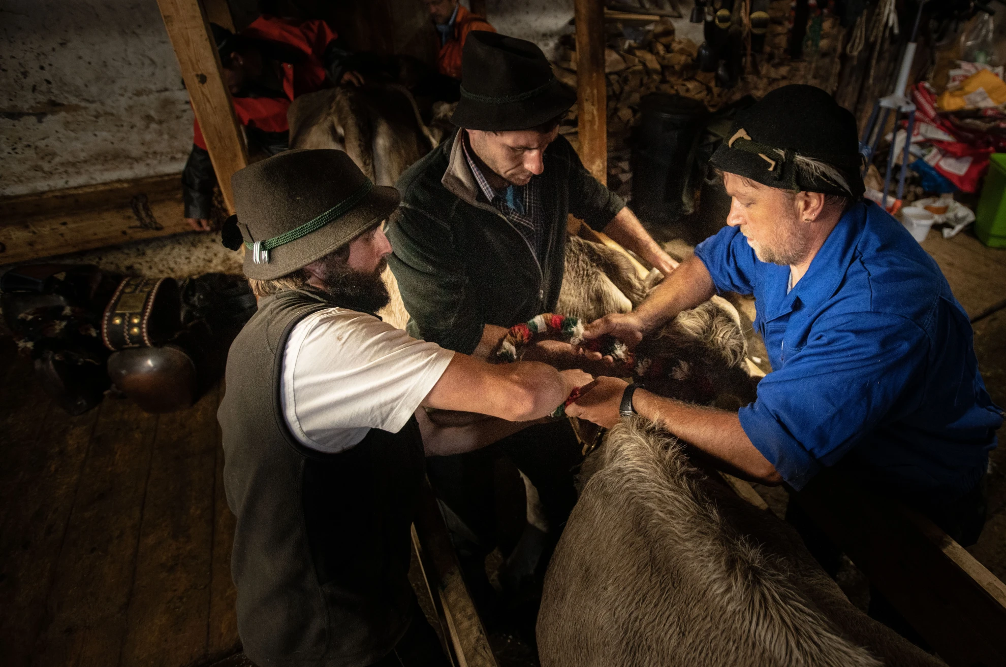 Im Berg dahuim hero banner image placeholder