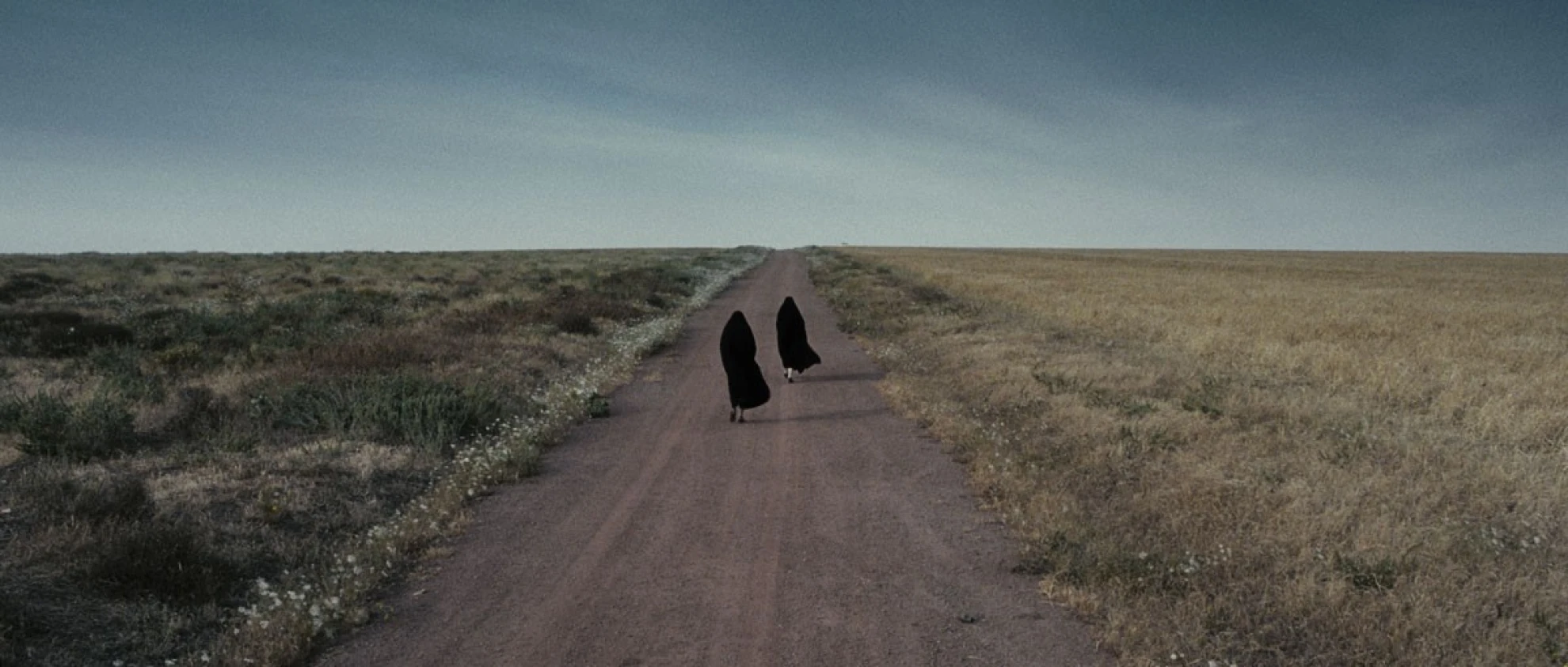 Women Without Men hero banner image placeholder