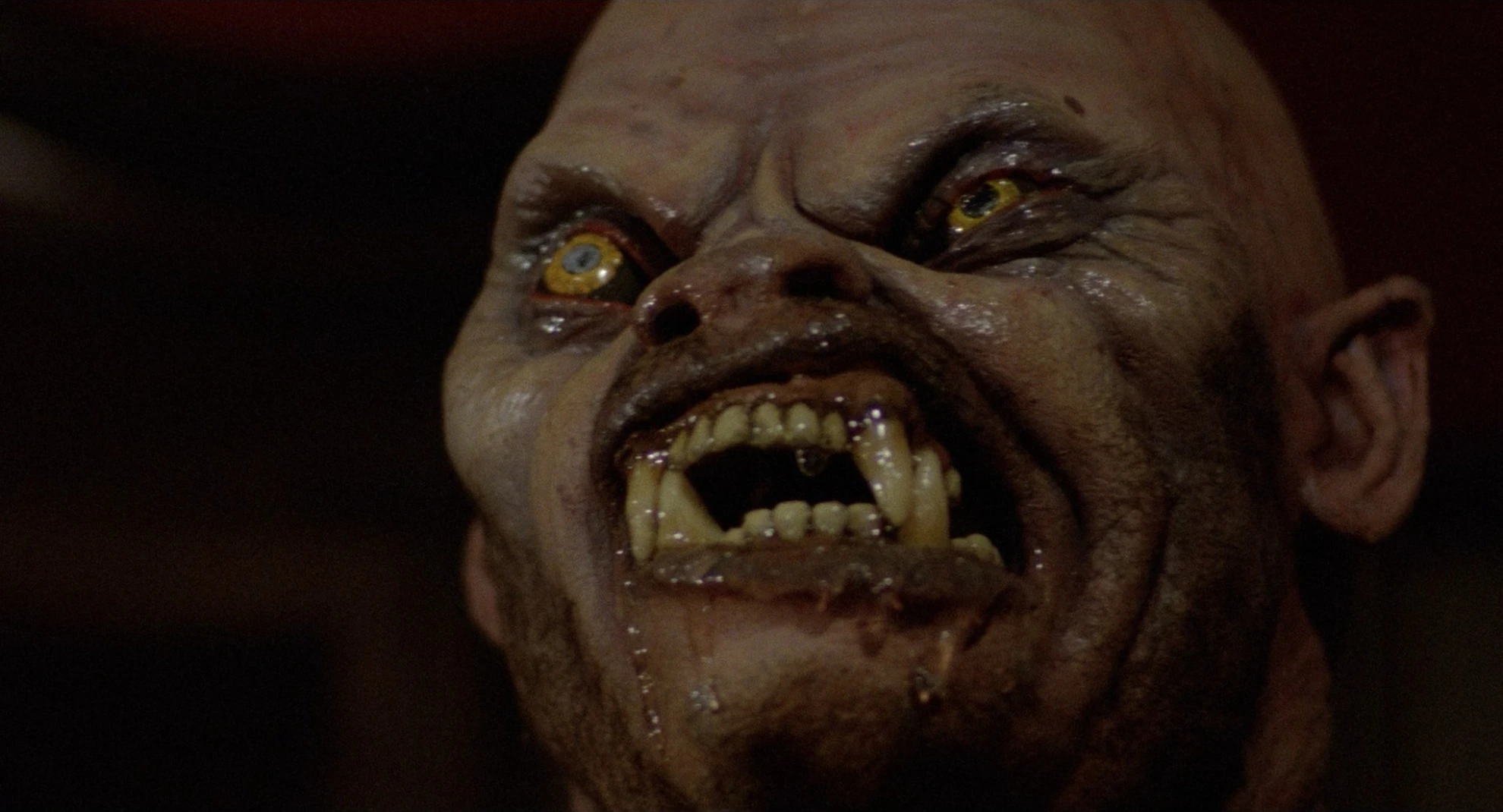 An American Werewolf in London hero banner image placeholder