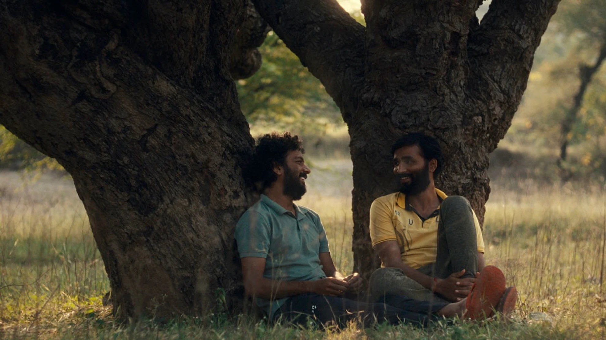 Cactus Pears hero banner image placeholder