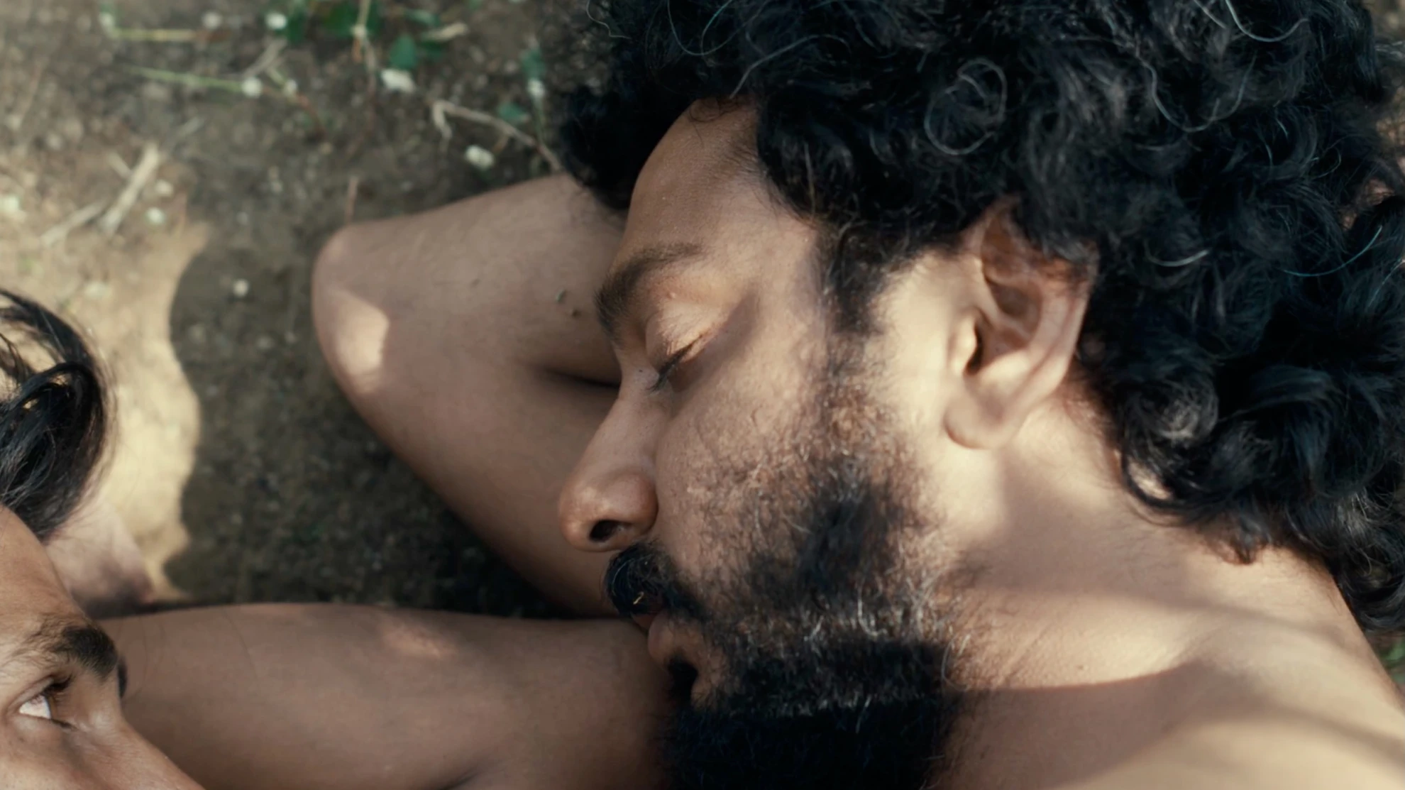 Cactus Pears hero banner image placeholder