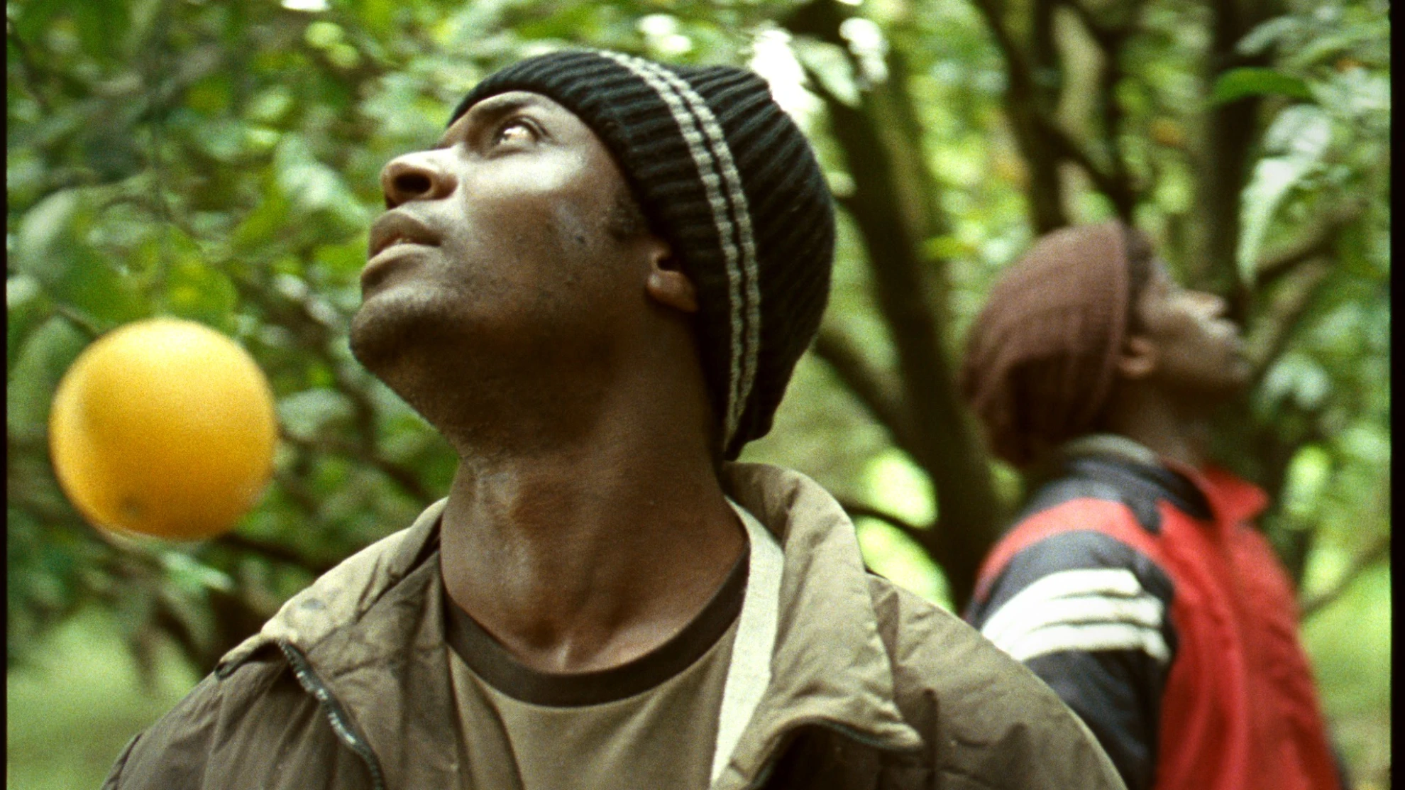 Mediterranea hero banner image placeholder