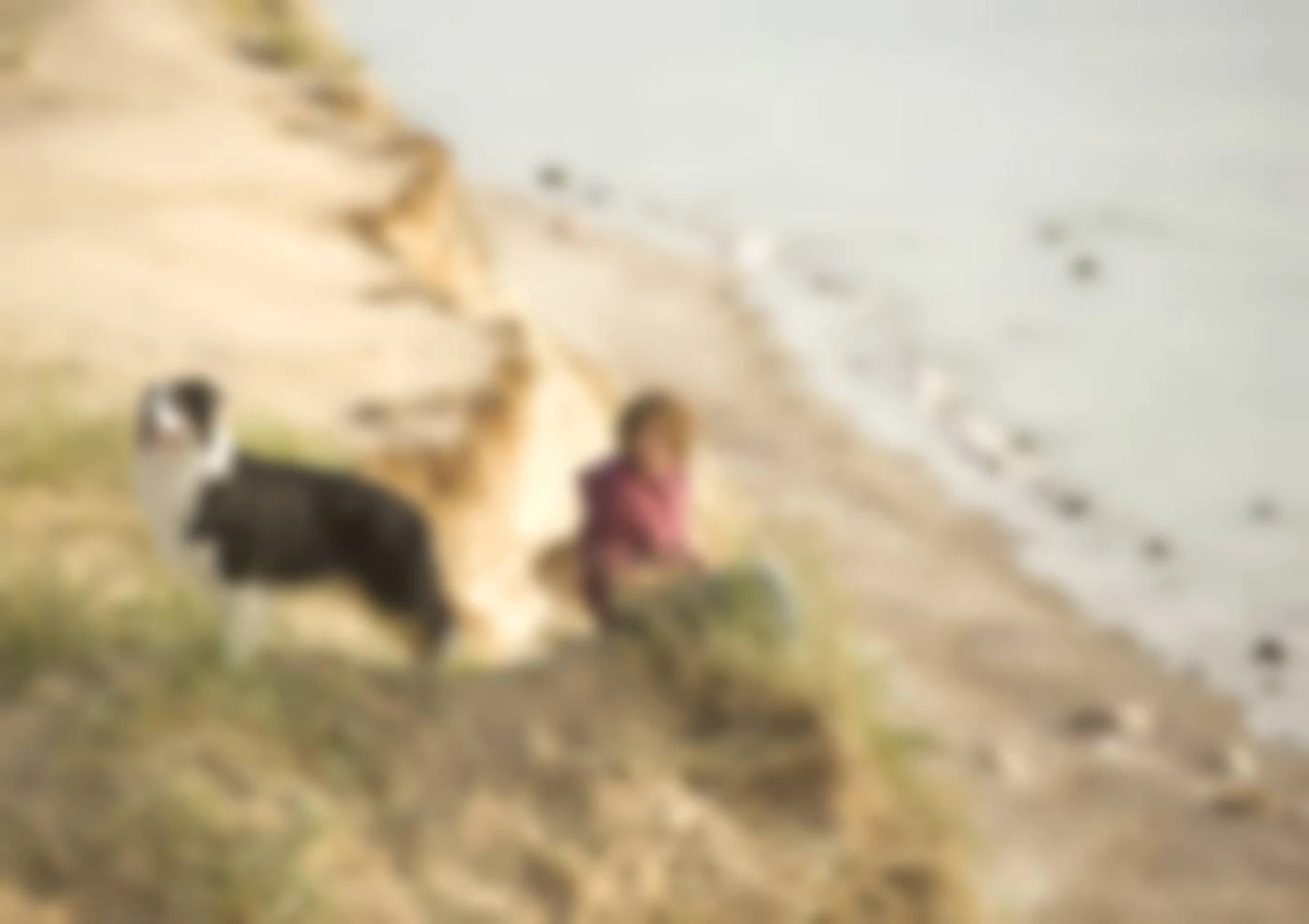 Fünf Freunde hero banner image placeholder