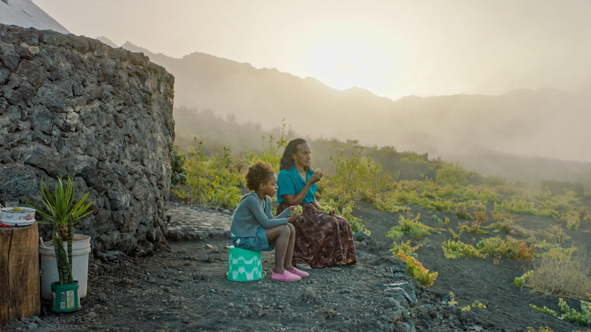 Hanami hero banner image placeholder