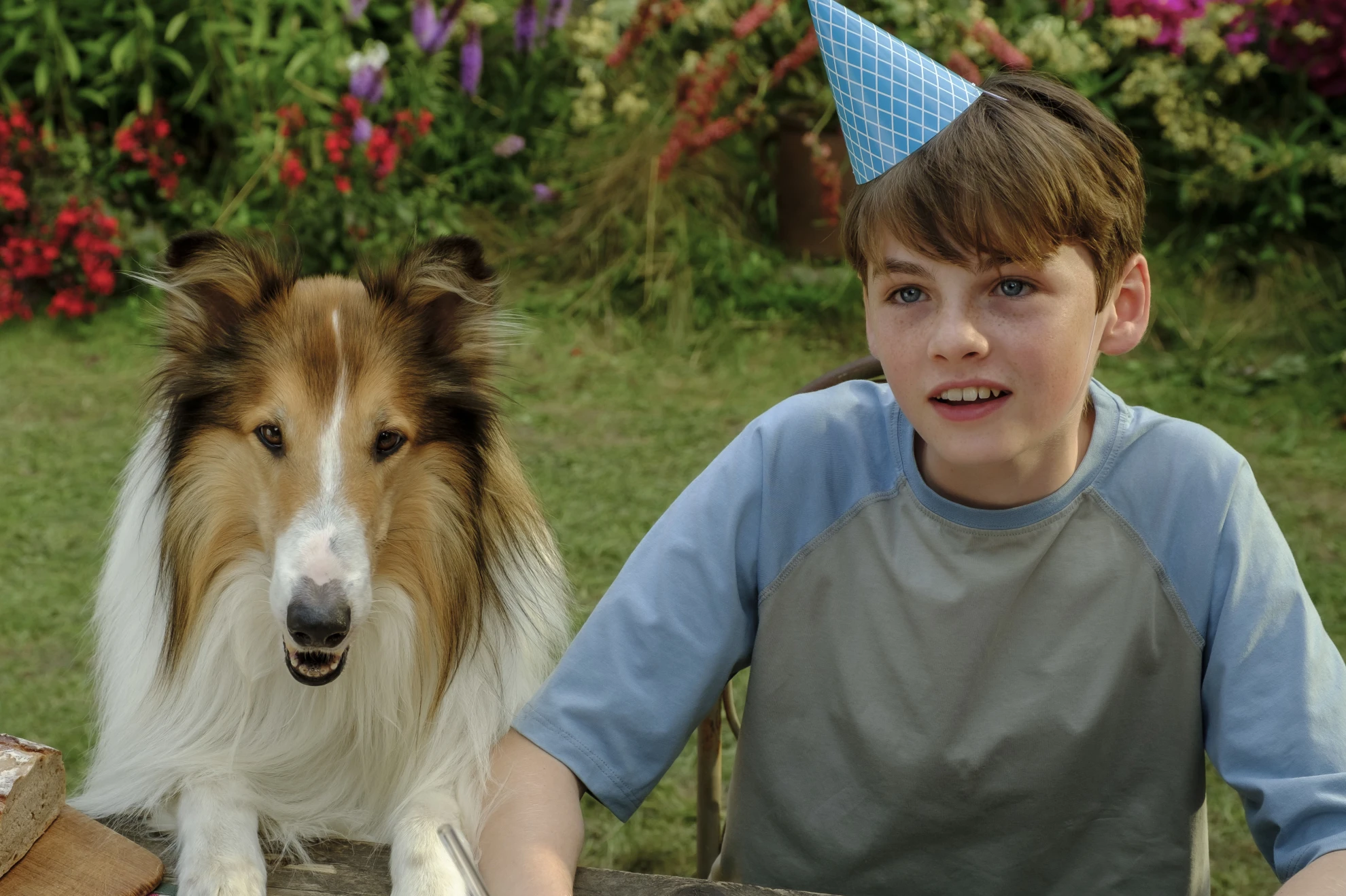 Lassie - Ein neues Abenteuer hero banner image placeholder