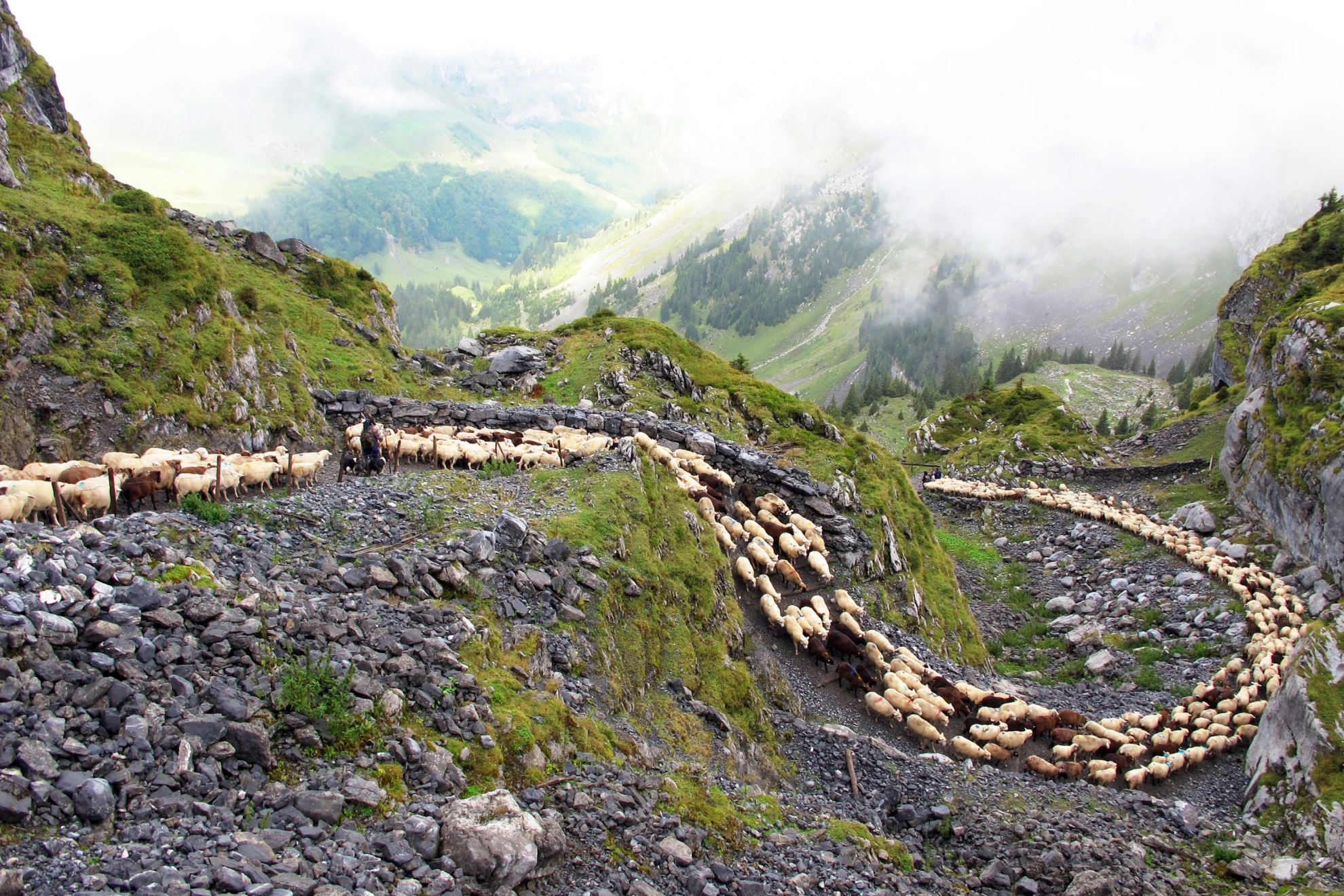 Alpzyt hero banner image placeholder