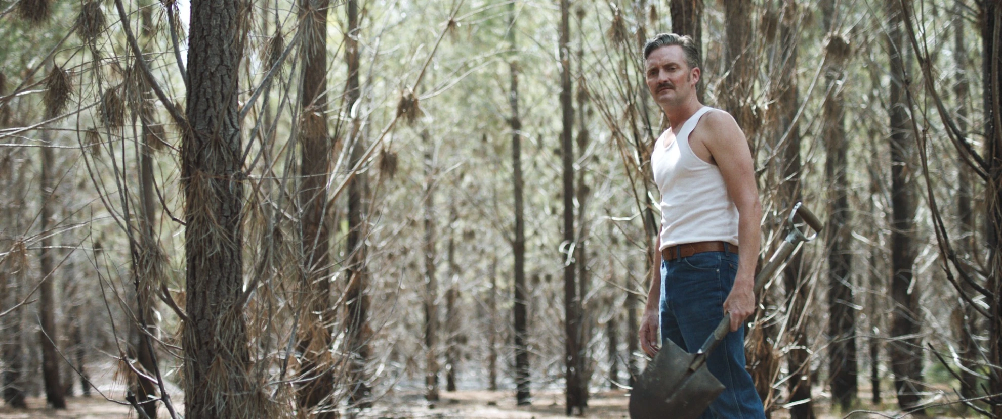 Hounds of Love hero banner image placeholder