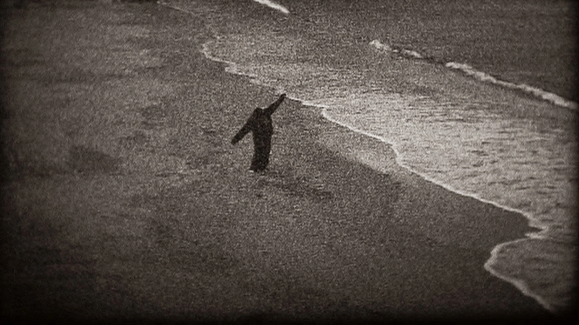 Sound of Insects hero banner image placeholder