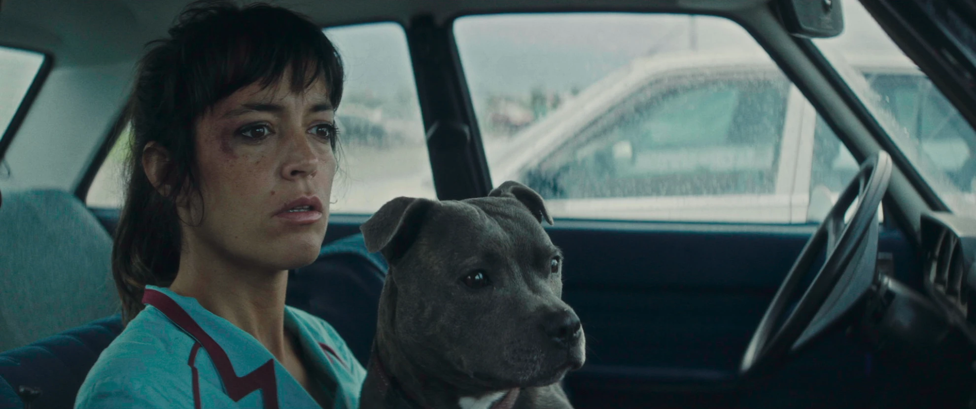 Vincent doit mourir hero banner image placeholder