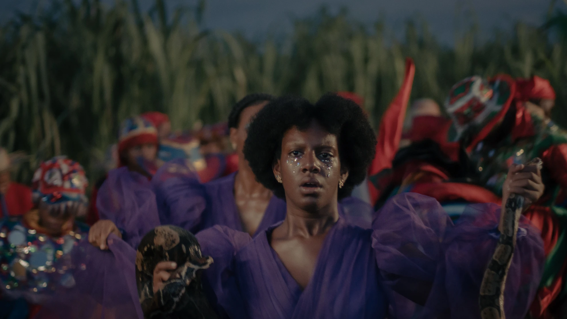 Black Film Festival 2025 hero banner image placeholder