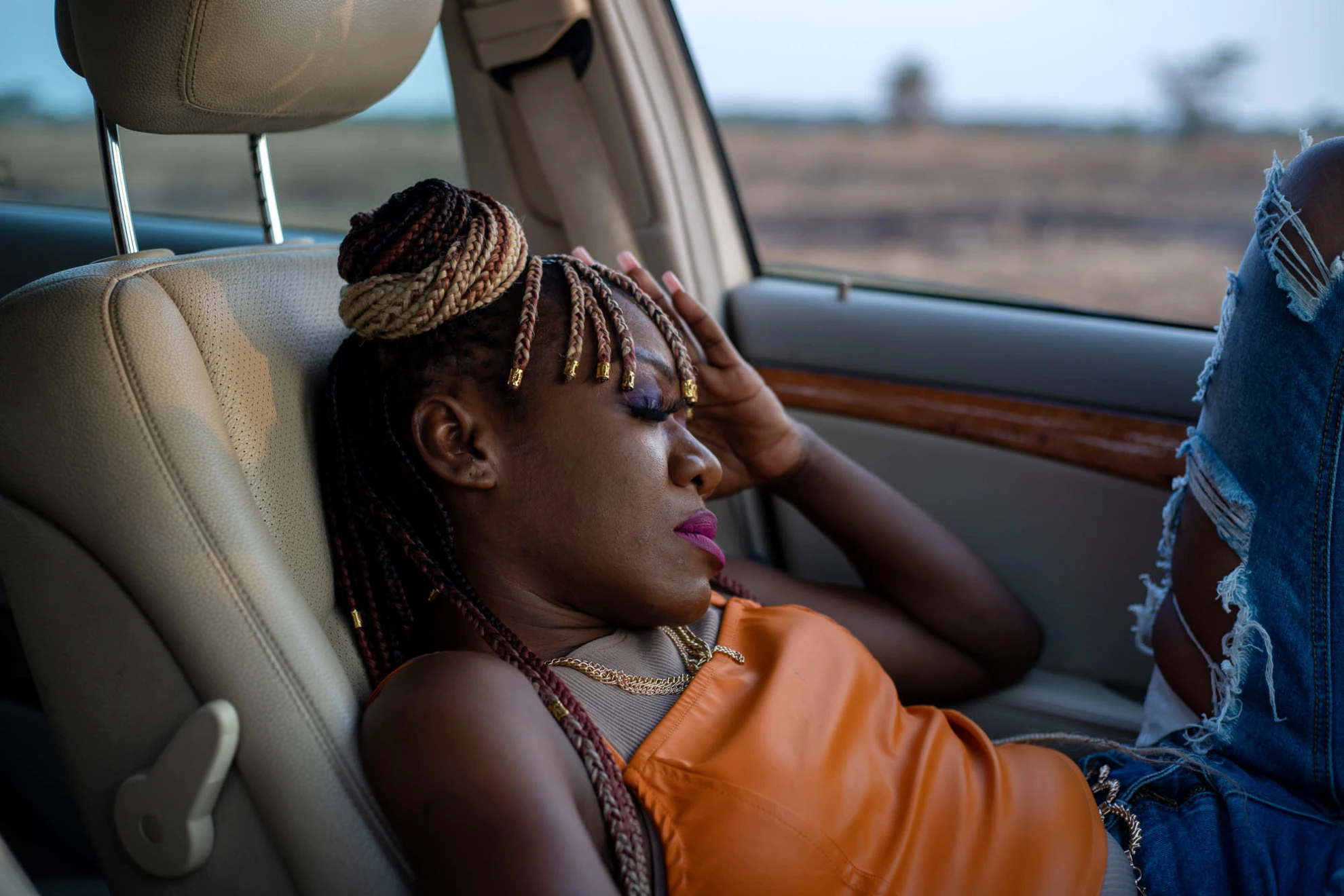 On Becoming a Guinea Fowl hero banner image placeholder