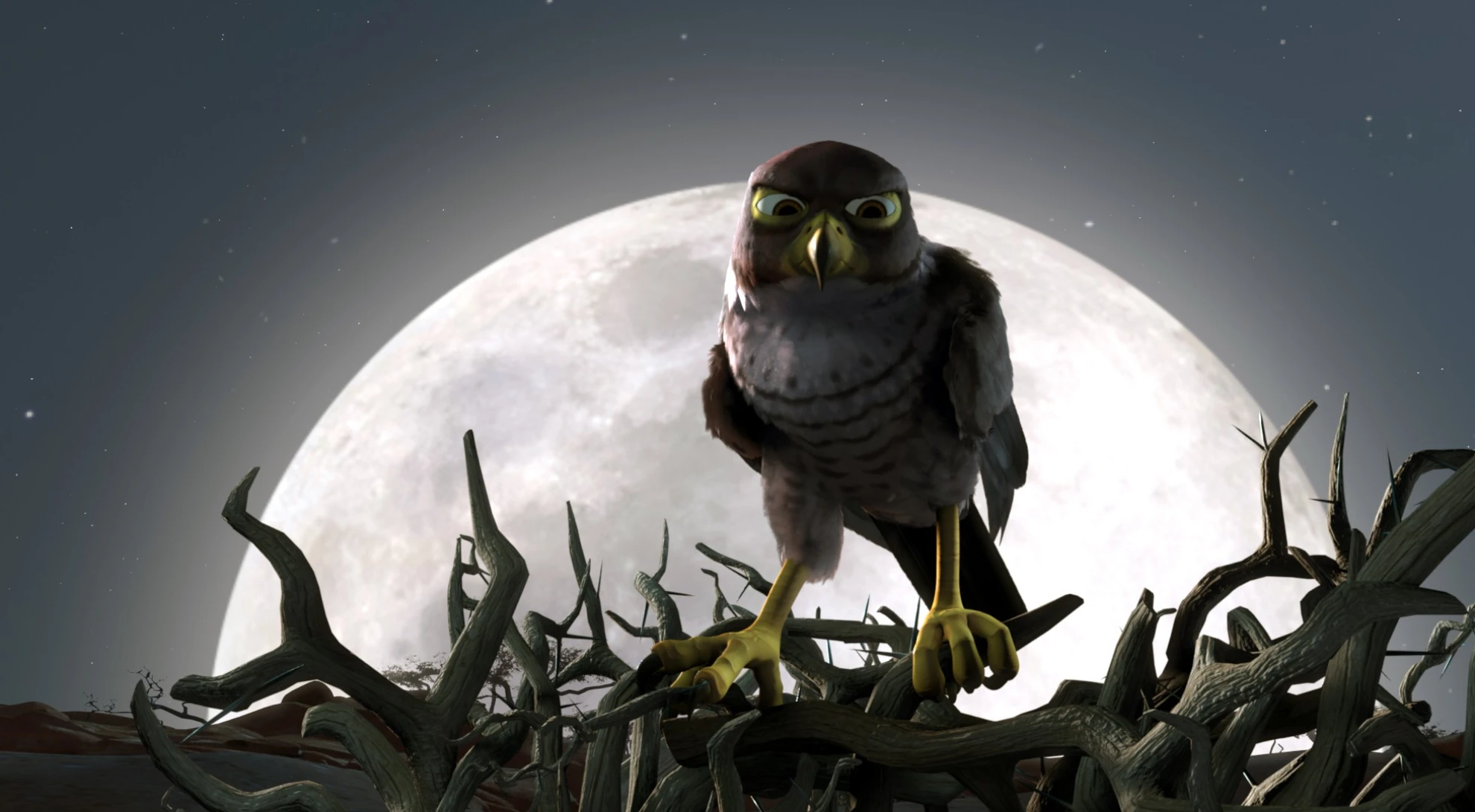 Zambezia hero banner image placeholder