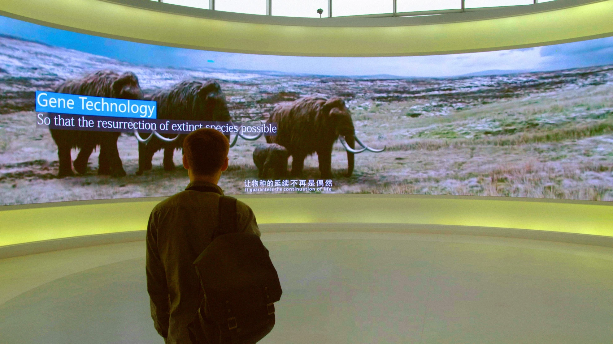 Genesis 2.0 hero banner image placeholder