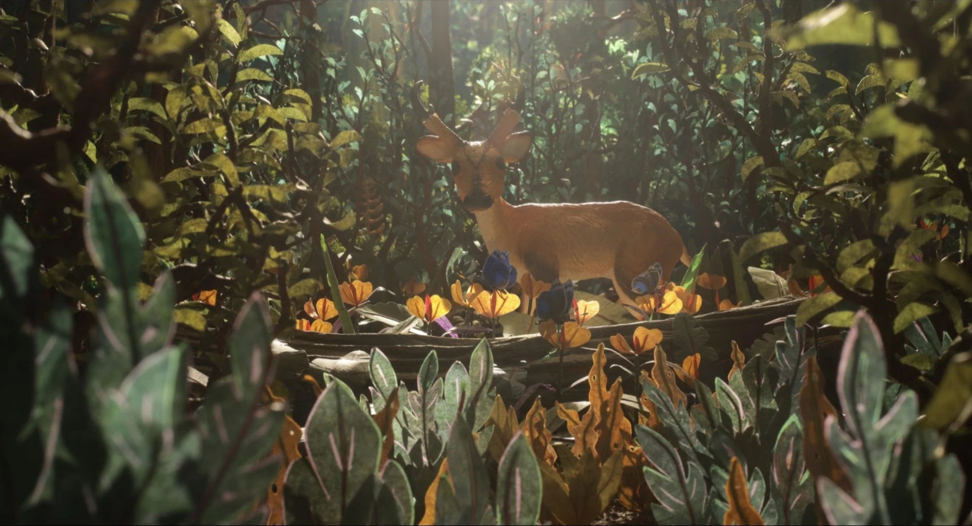 Sauvages hero banner image placeholder