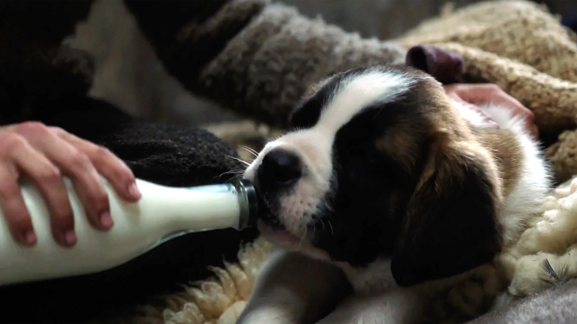 Mein Freund Barry hero banner image placeholder