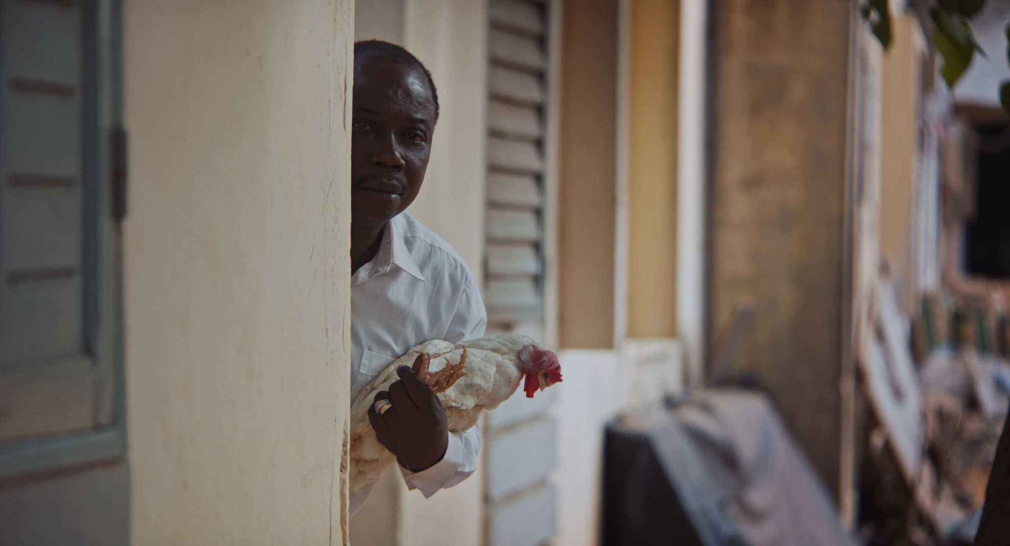 Black Film Festival 2024 hero banner image placeholder