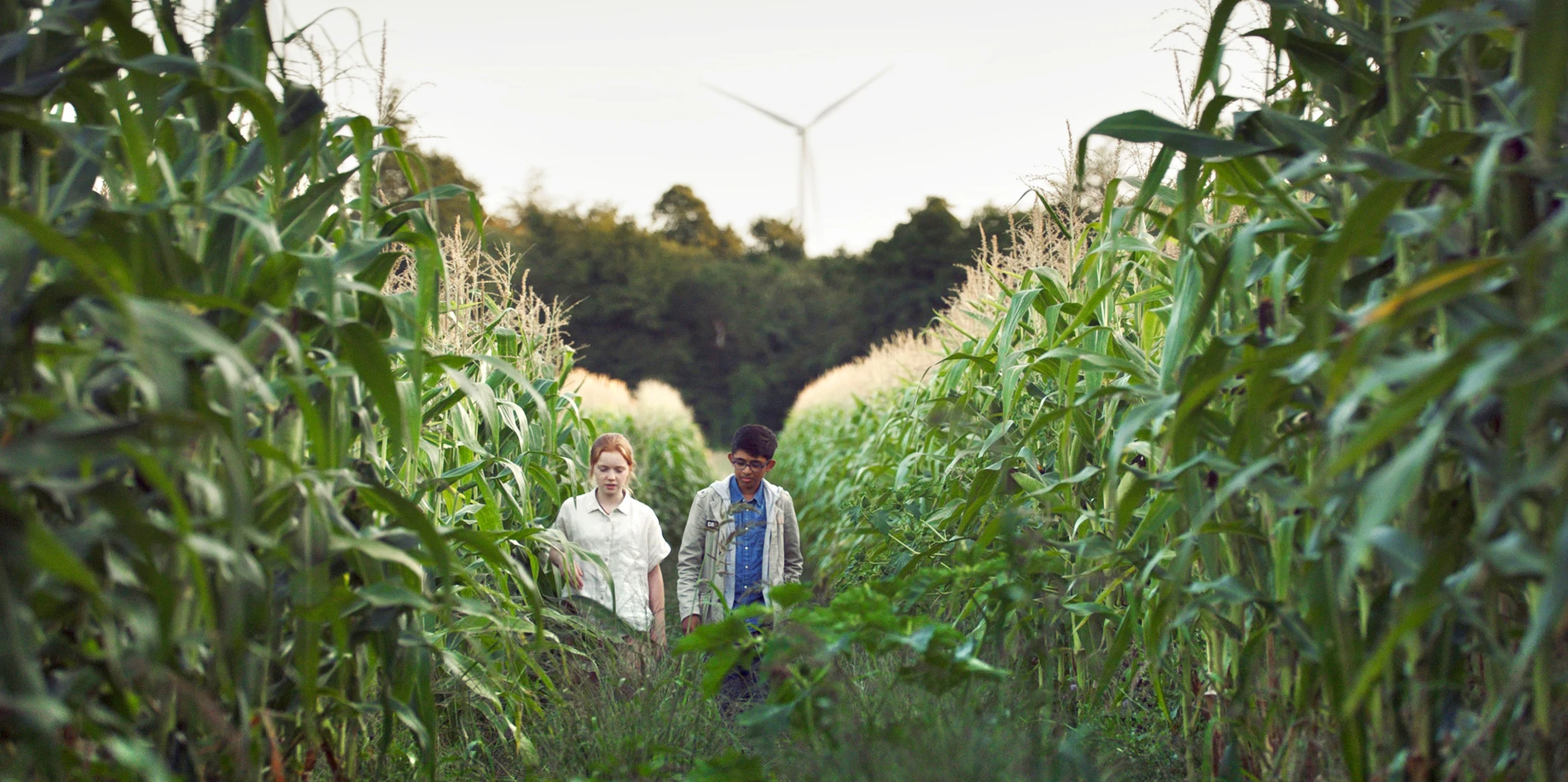 Animal hero banner image placeholder