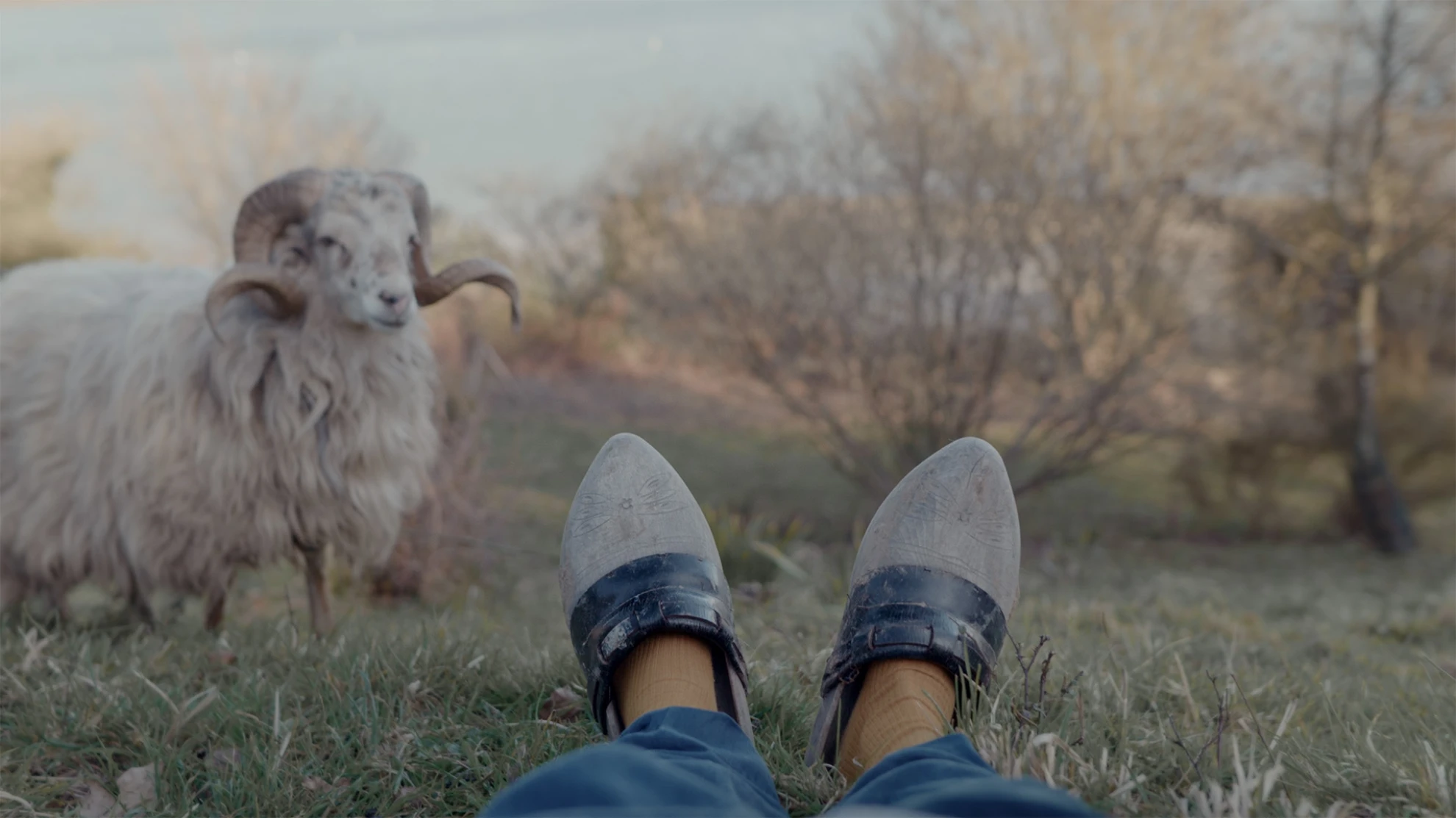 Human Rights Film Festival 2025 hero banner image placeholder