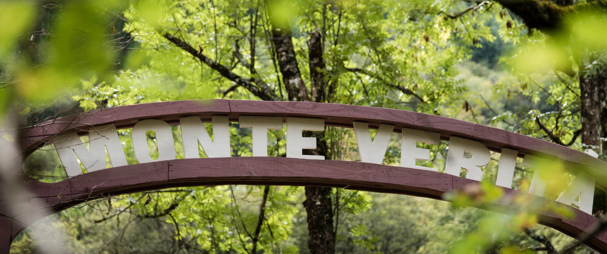 Monte Verità hero banner image placeholder