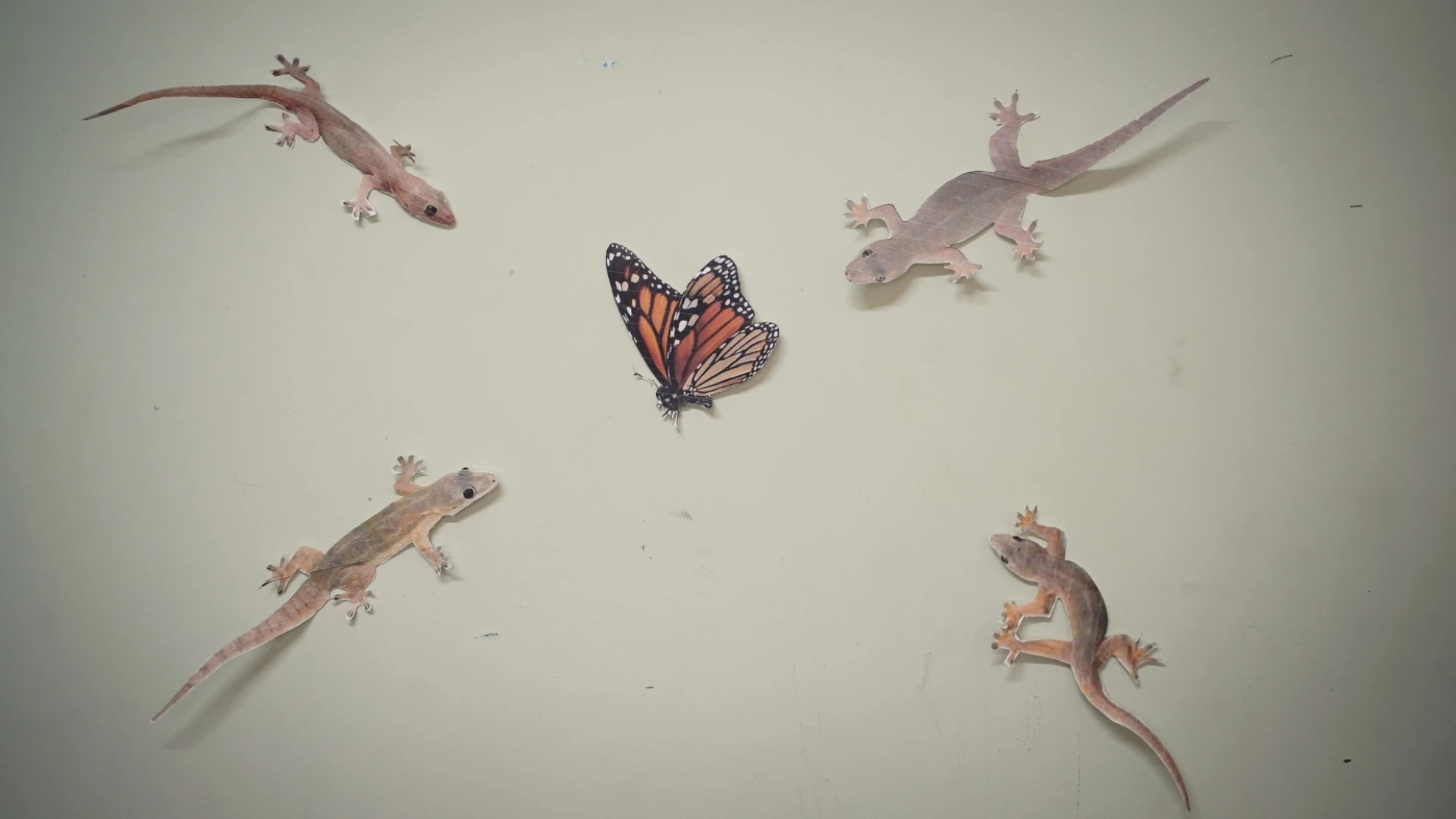 Myanmar Diaries hero banner image placeholder