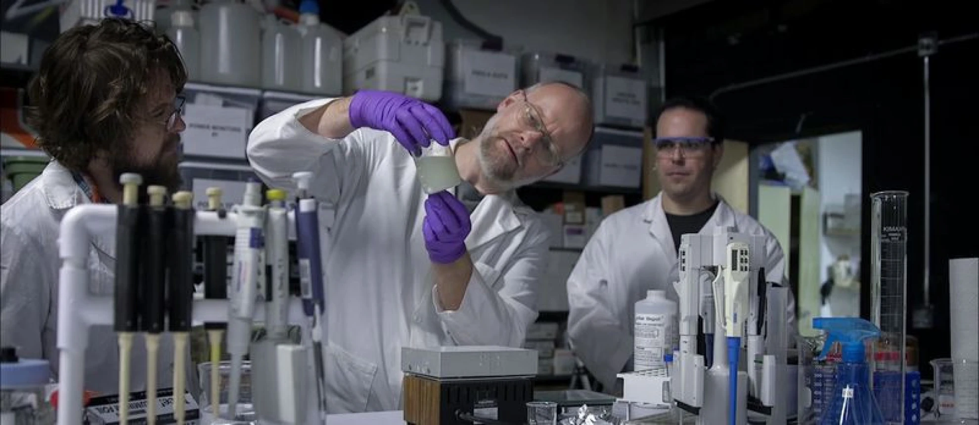 The End of Meat hero banner image placeholder