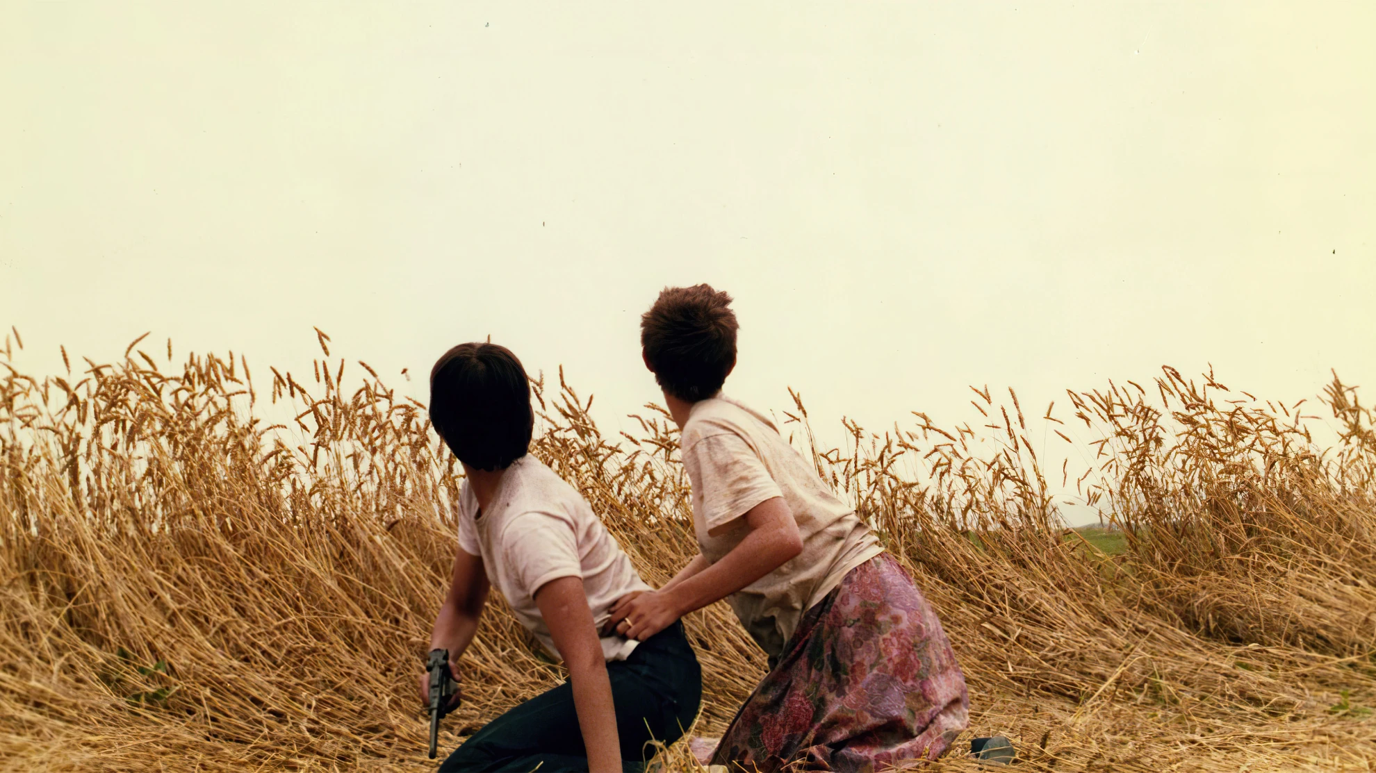 Messidor hero banner image placeholder